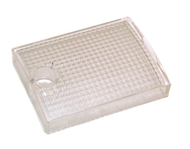 Mica de foco trasero blanco – Toyota